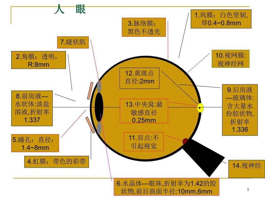 视觉与电视原理培训资料_第5页