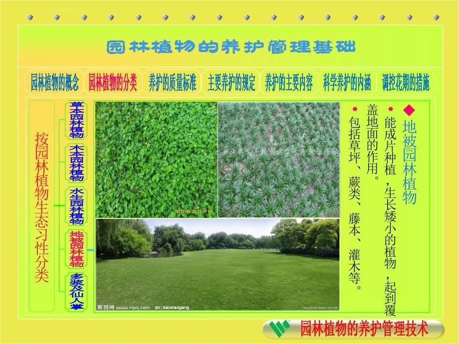 园林植物养护基础ppt课件_第5页