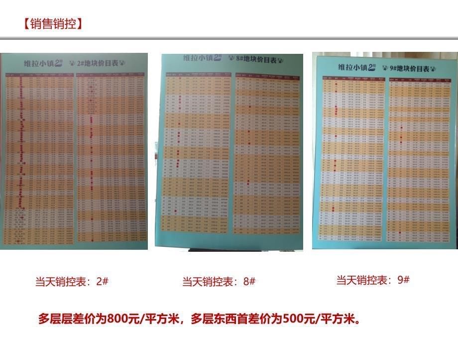 《维拉小镇开盘快报》幻灯片课件_第5页