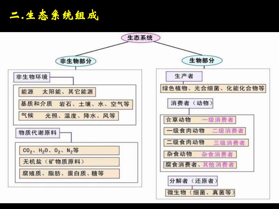 《生态学基本原理》幻灯片课件_第3页