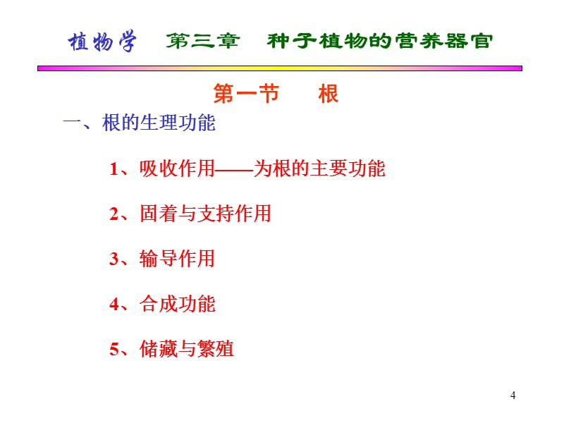 《营养器官根》幻灯片课件_第4页