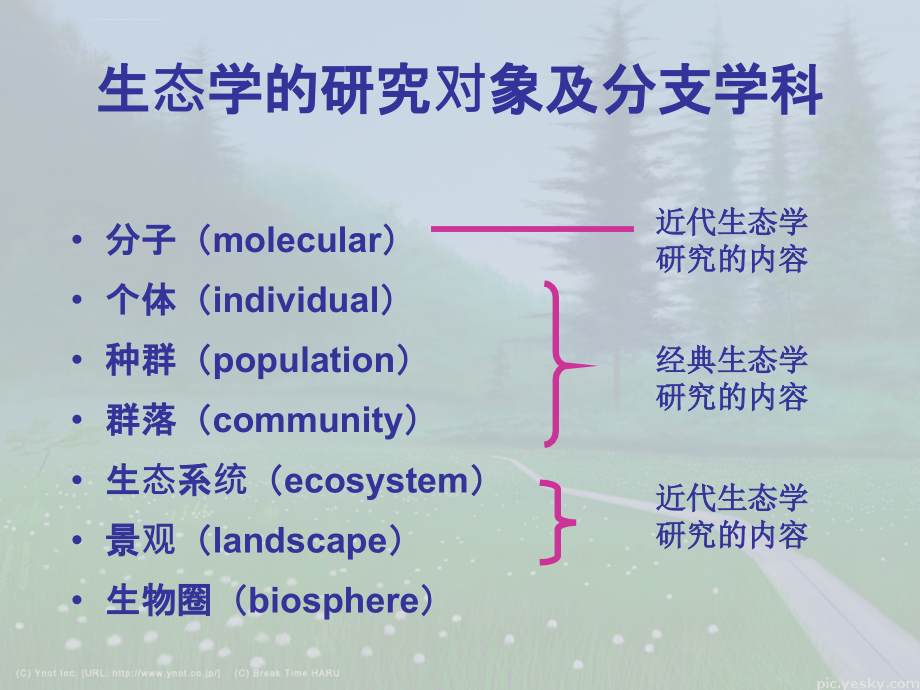 基础生态学总复习ppt课件_第3页