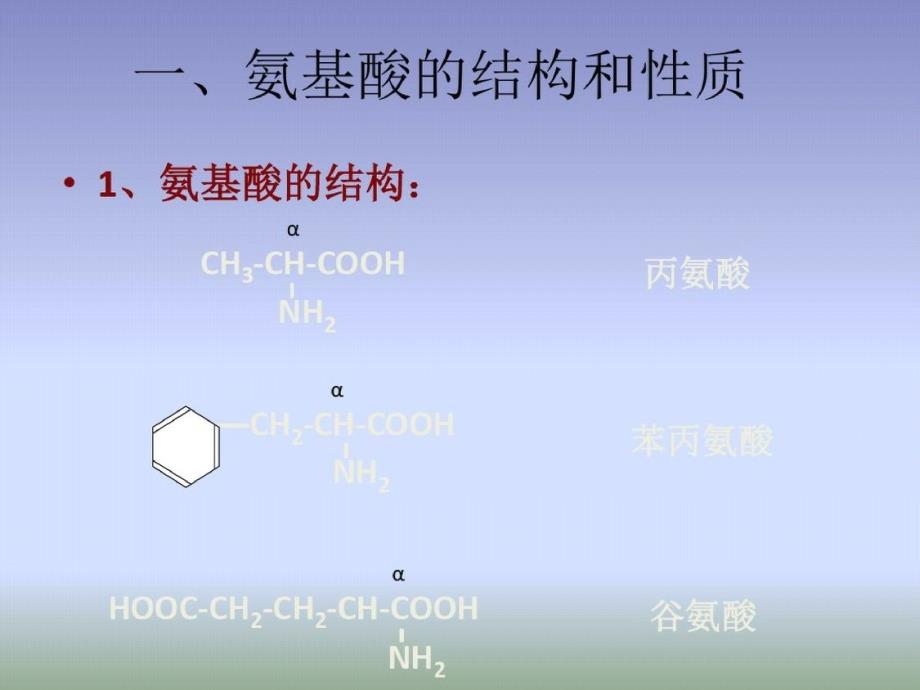 2019人版高中化学五(蛋白质和核酸)ppt资料-完整版_第3页