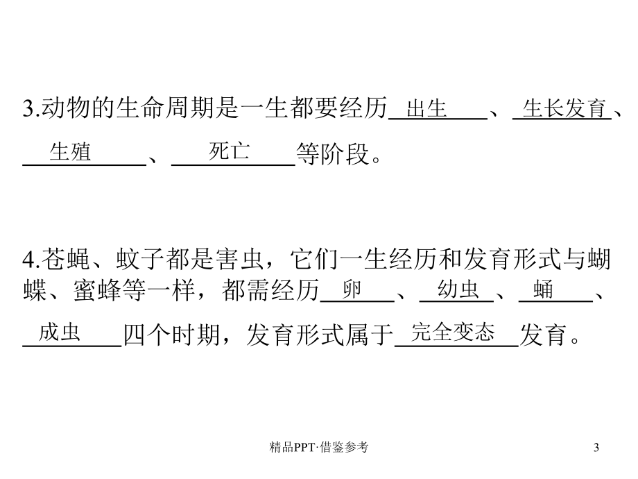 新生命的诞生1浙教版[参照]_第3页