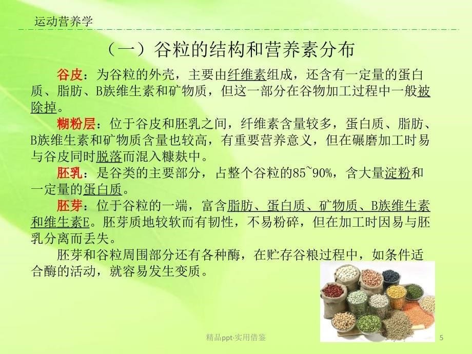 食物的分类[汇报]_第5页