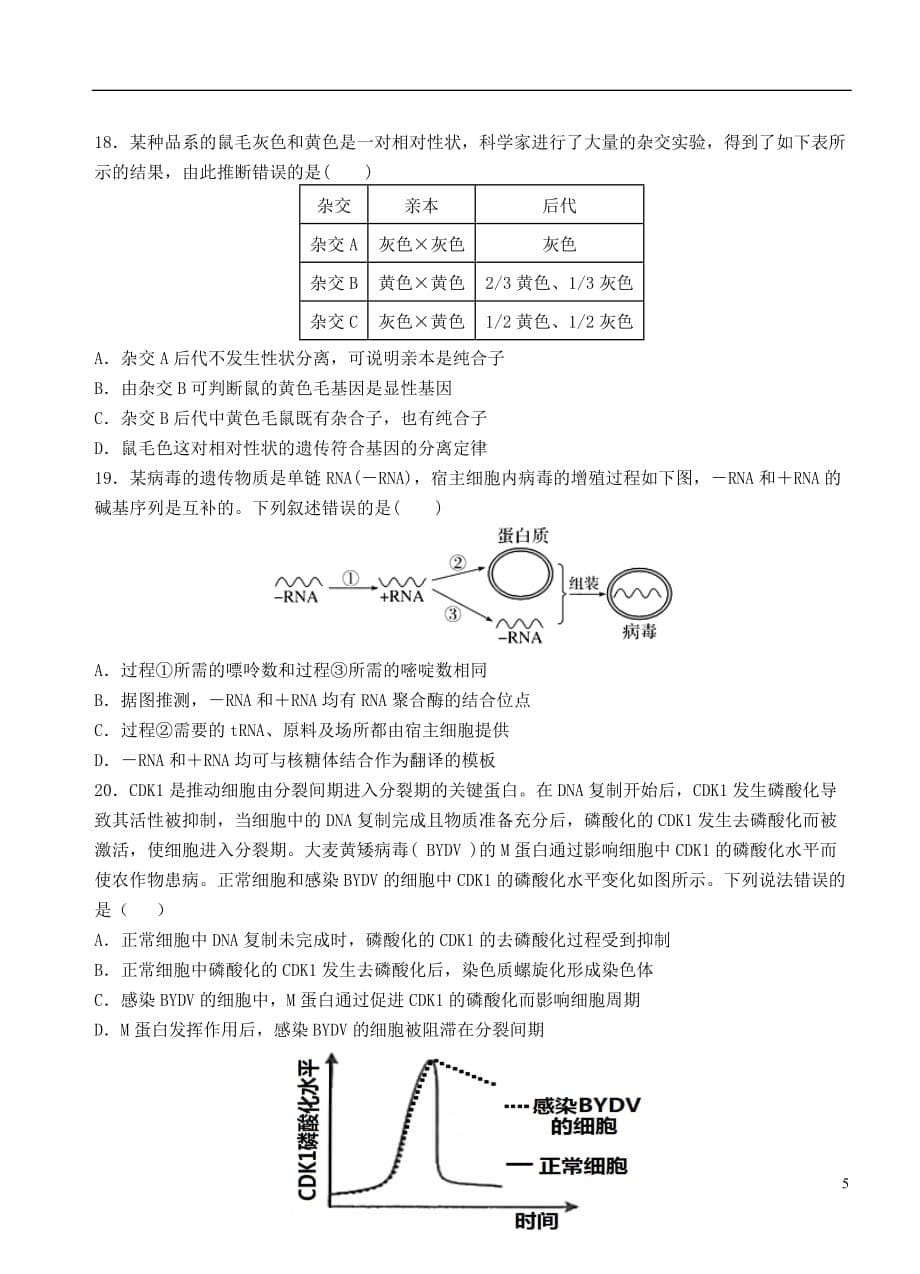 福建省龙海市第二中学2021届高三生物上学期第二次月考试题_第5页