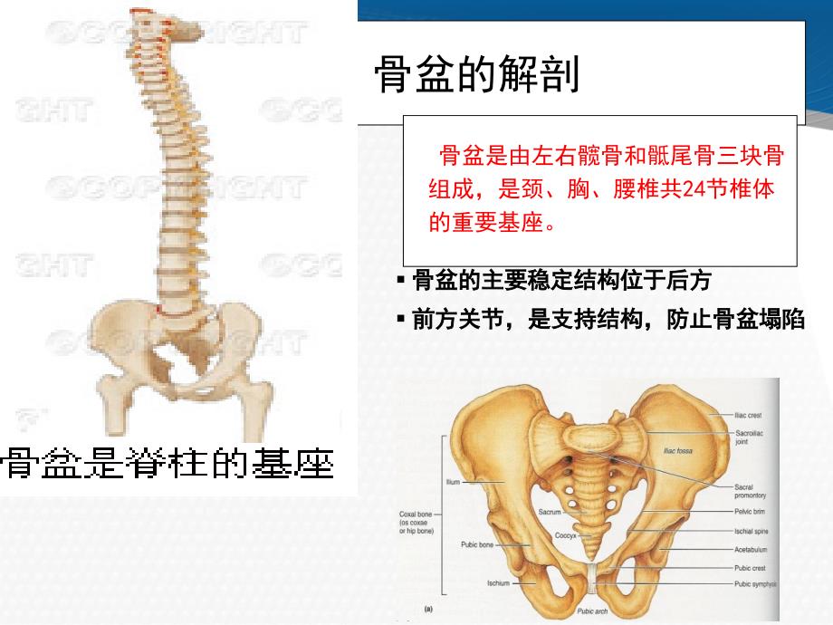 女性慢性骨盆疼痛的评估与康复_第3页