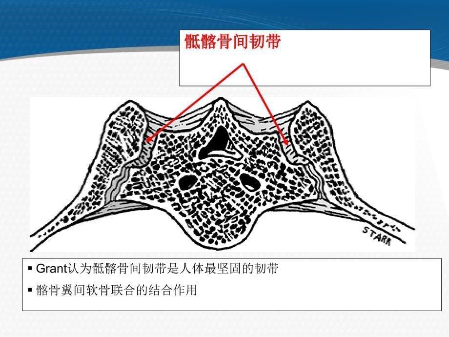 女性慢性骨盆疼痛的评估与康复_第5页