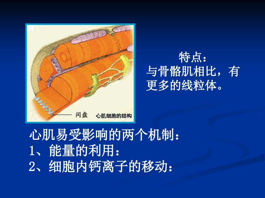 药物毒理学 第六章-药物对心血管系统的毒性作用_第4页