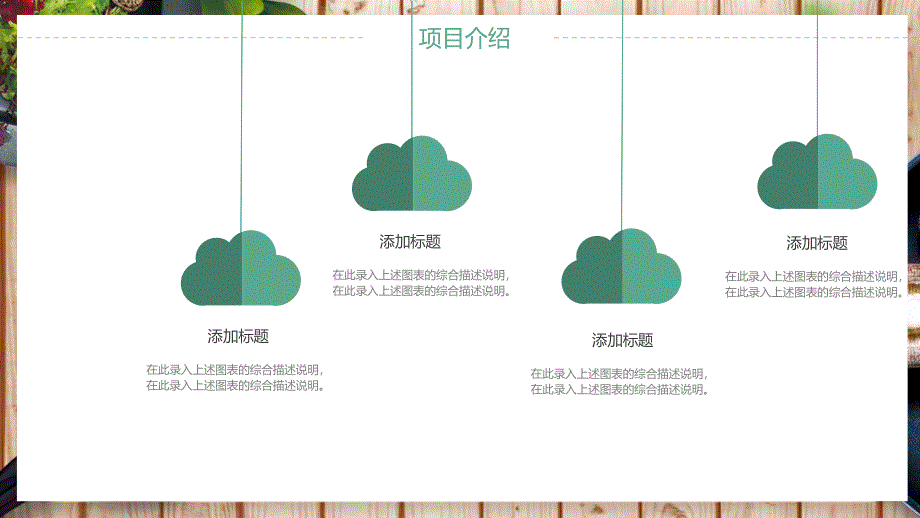 健康食品营养调料总结计划PPT模板 (1)_第4页