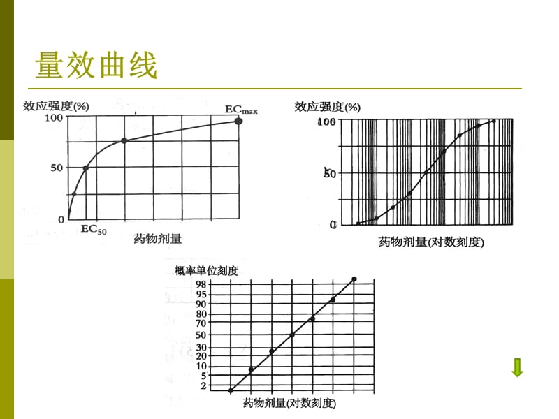 药物半数致死量的测定_第4页