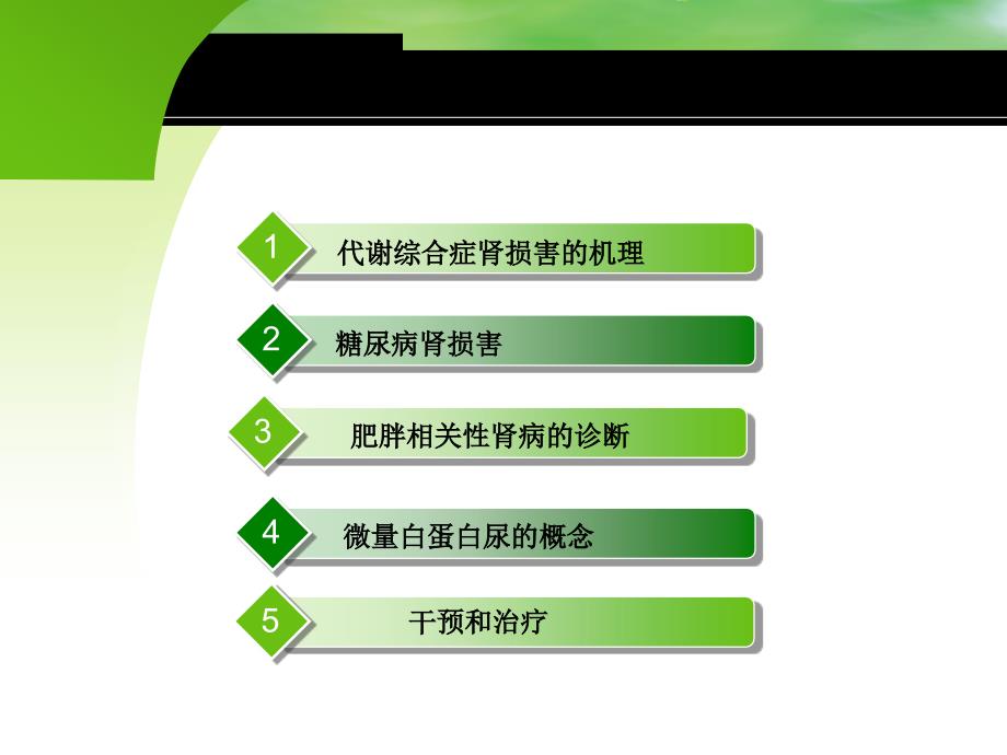 代谢综合症和糖尿病相关肾损害的诊断和干预_第2页