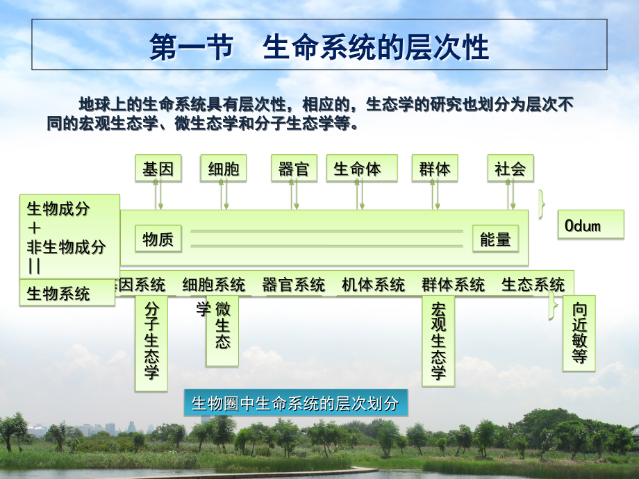 第三章-生物圈中的生命系统幻灯片_第4页