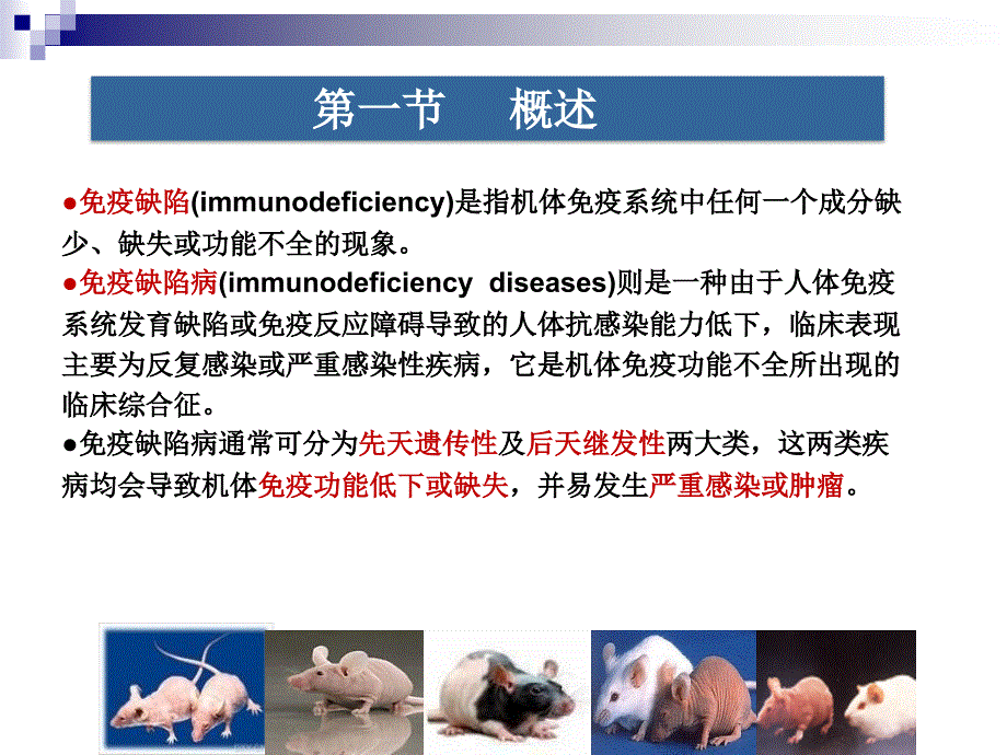 免疫缺陷动物模型及应用_第2页