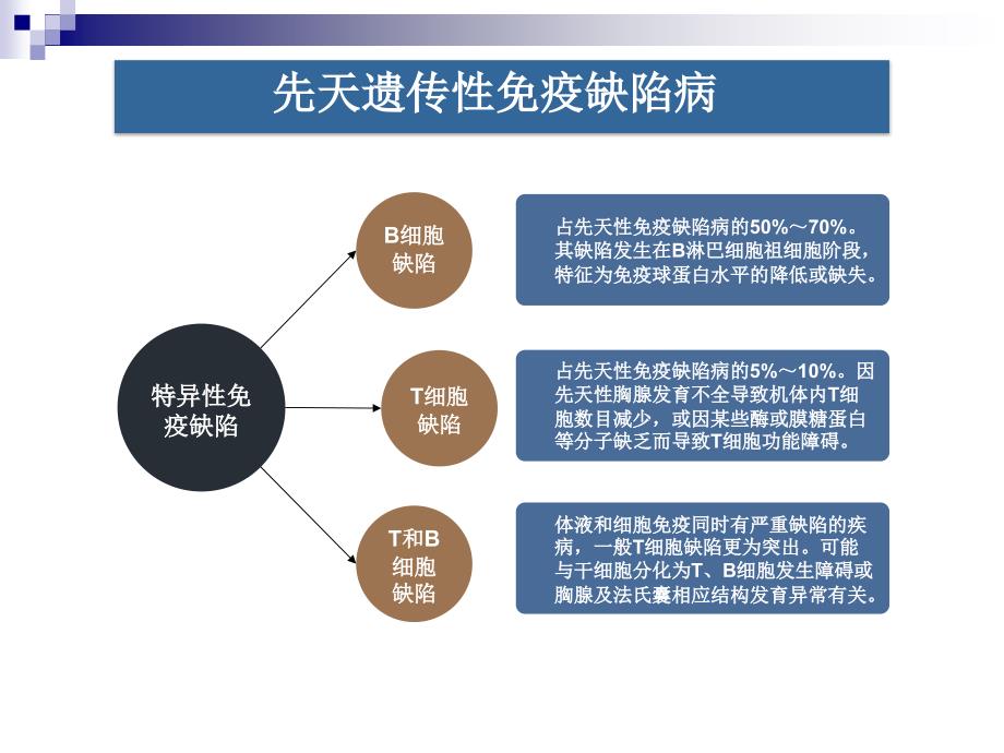 免疫缺陷动物模型及应用_第3页