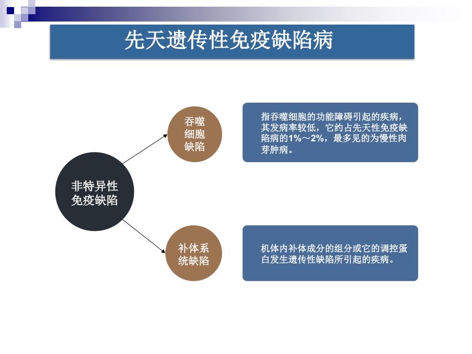 免疫缺陷动物模型及应用_第4页