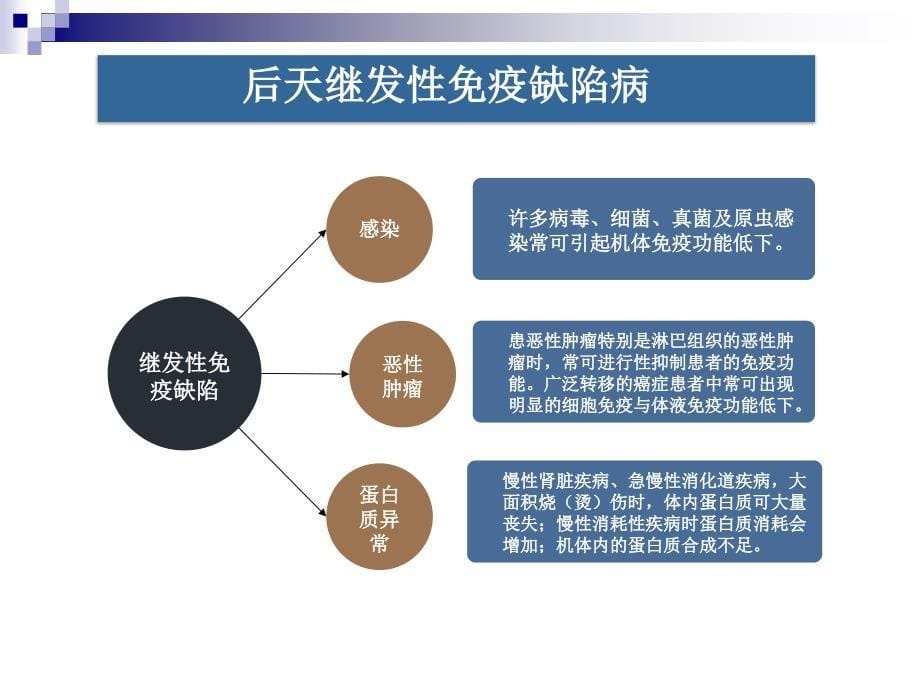 免疫缺陷动物模型及应用_第5页