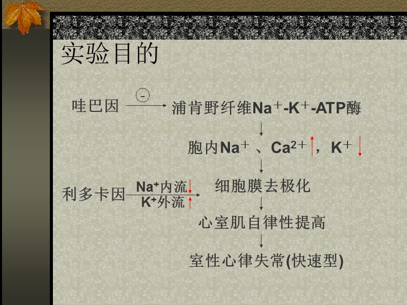 药物对哇巴因诱发豚鼠心律失常的保护作用_第2页