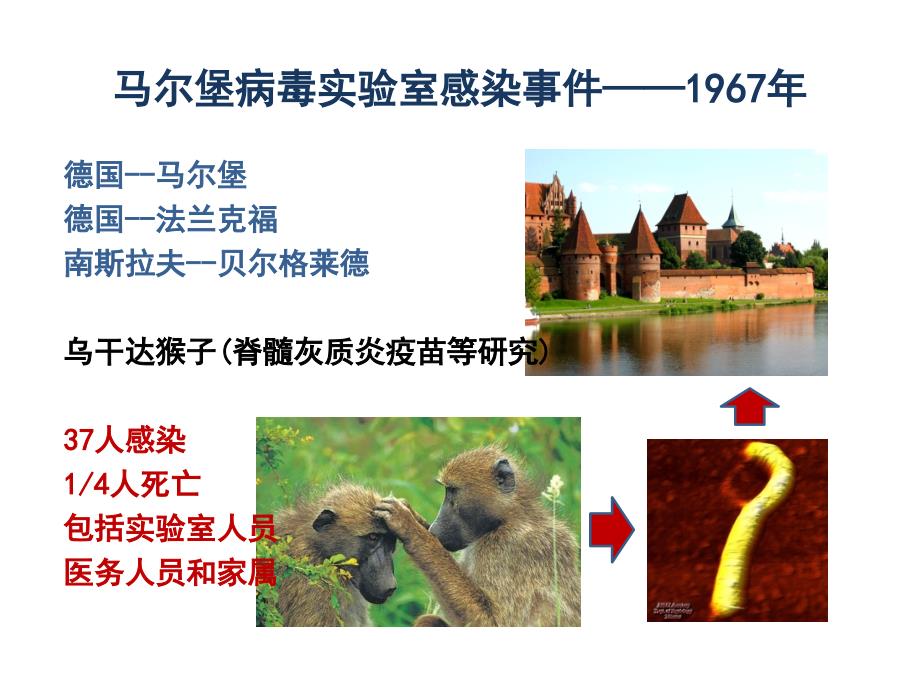 实验动物的生物安全_第3页