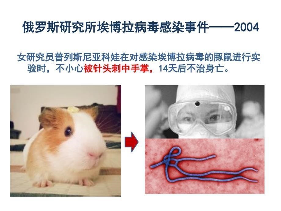 实验动物的生物安全_第5页