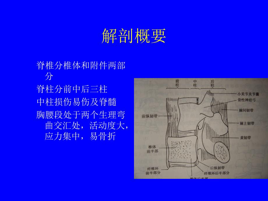 脊柱和脊髓损伤的诊断与治疗_第4页