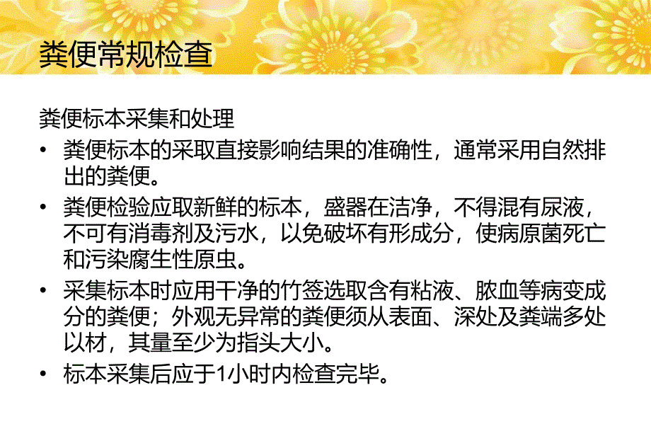 粪便常规检查及便隐血试验_第3页