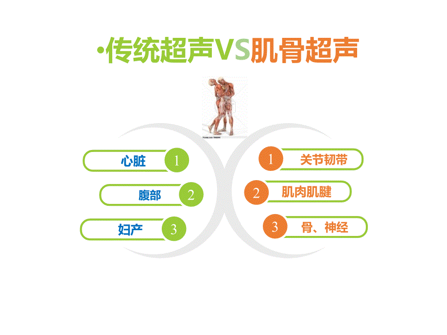 肌骨系统超声的临床应用_第4页