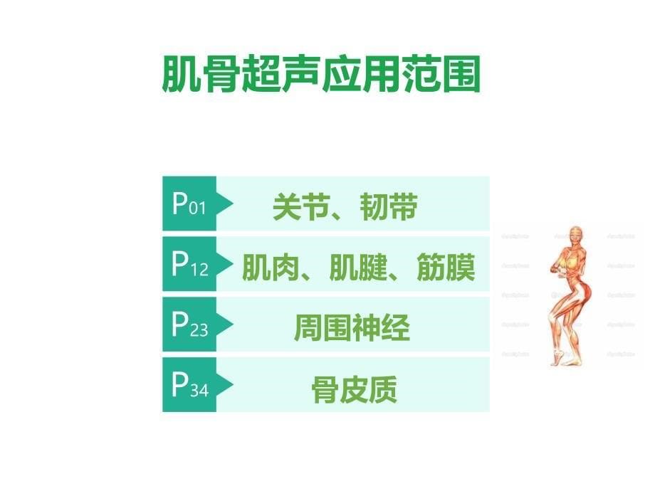 肌骨系统超声的临床应用_第5页