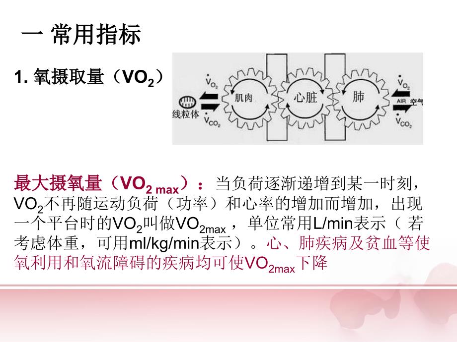 心肺运动试验在呼吸系统中的应用_第3页