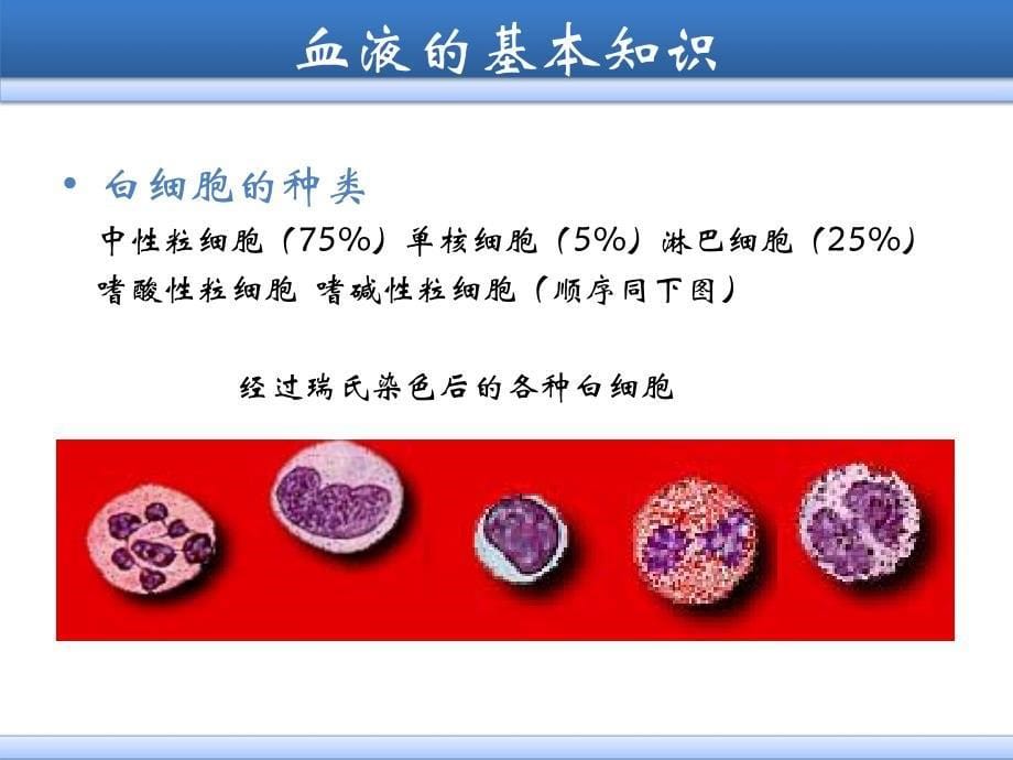 手工法及自动血细胞分析仪法进行红细胞、白细胞、血小板检查_第5页