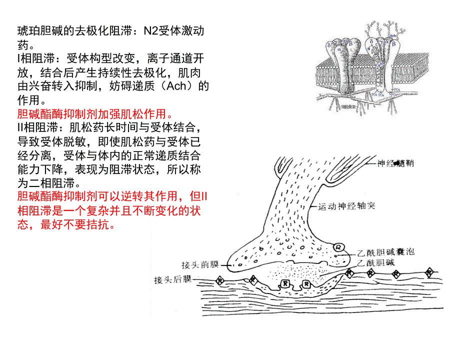 肌松药合理使用_第4页