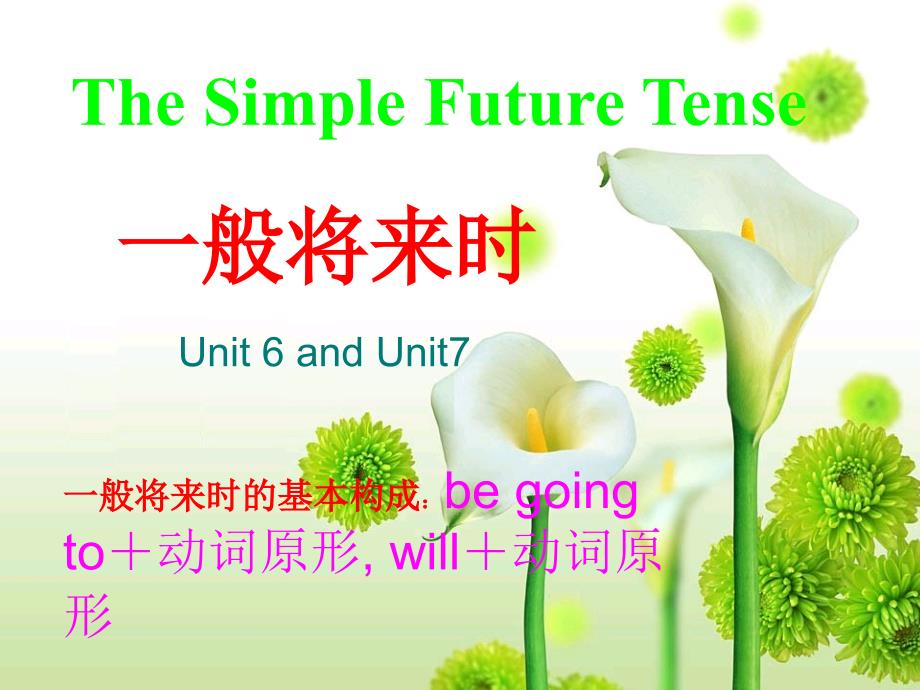 优质实用教学课件精选——优质实用教学课件精选——一般将来时公开课课件PPT._第1页