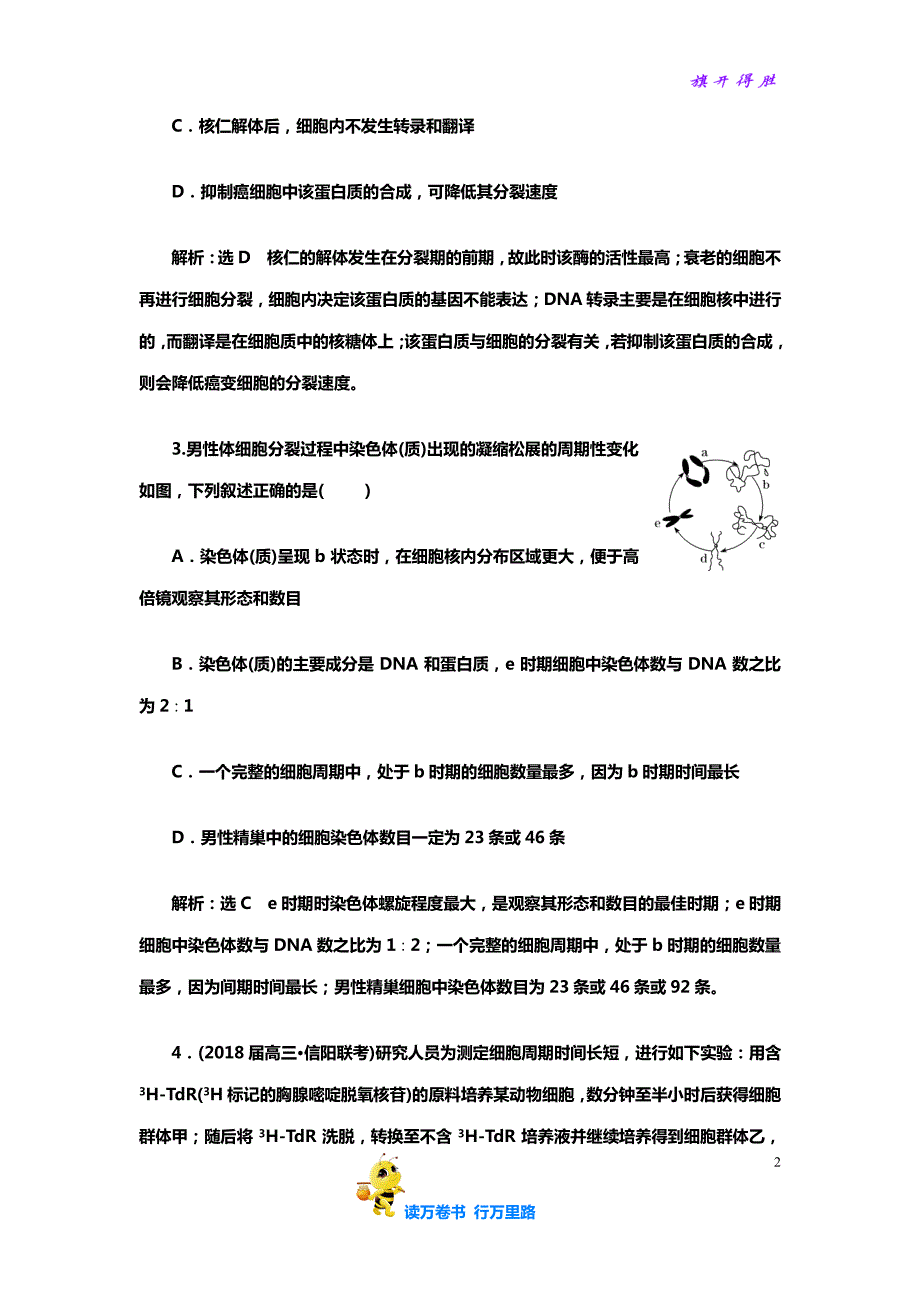 高中生物高考对接课时检测（三）“细胞的分裂”课前诊断卷(含答案)_第2页