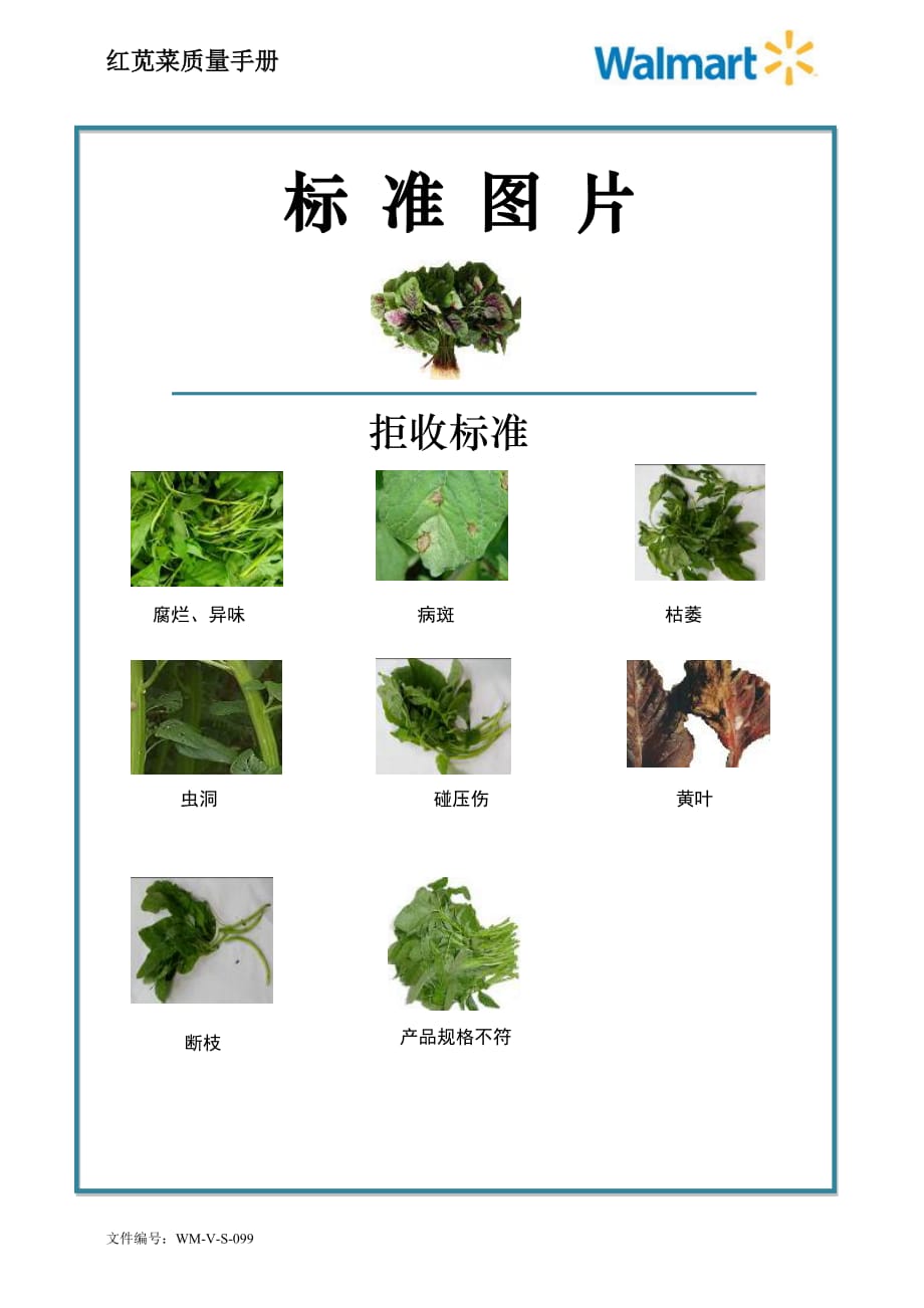 99quality manual Chinese红苋菜质量手册验收标准_第2页