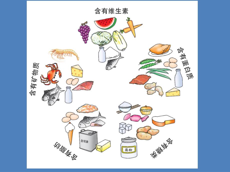 高中化学必修2精品教案：《基本营养物质》课件4_第3页