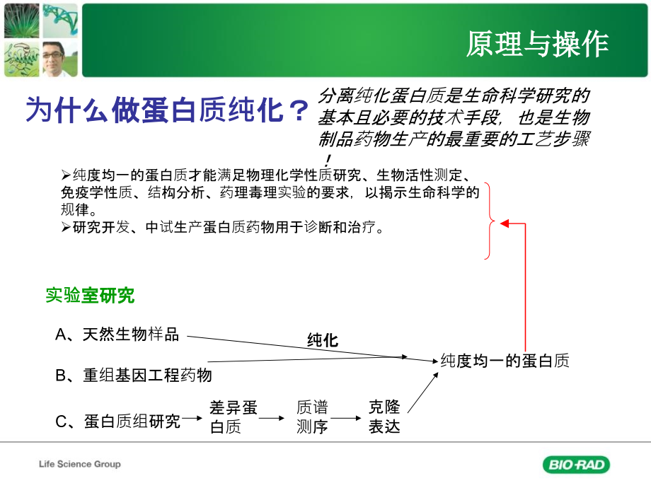 蛋白纯化系统幻灯片_第3页