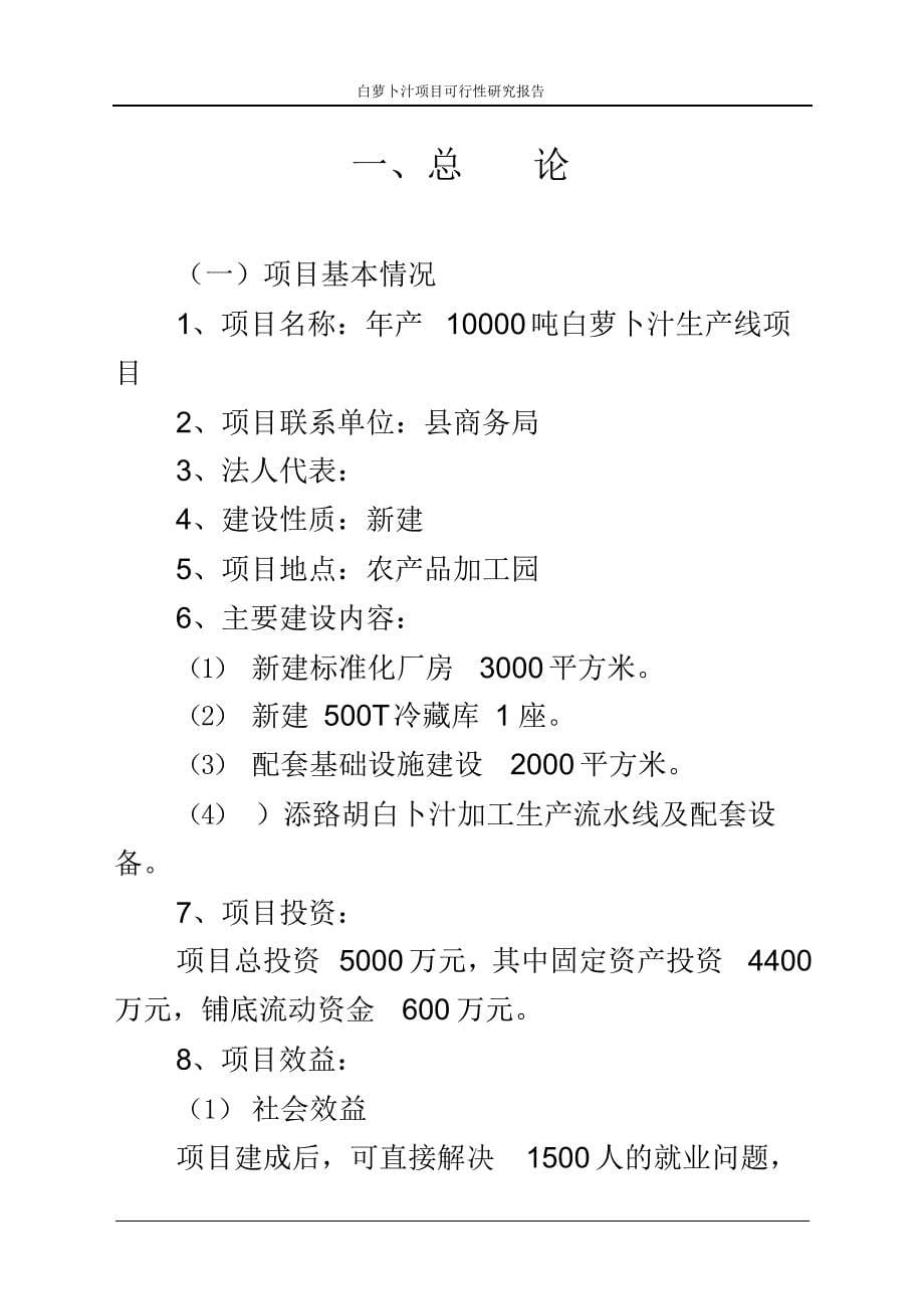 白萝卜汁项目可行性分析报告-D_第5页