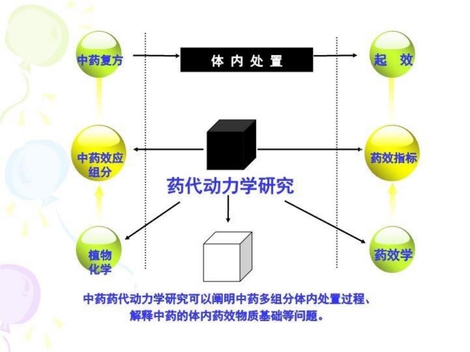 临床药代动力学研究及相关问题 PPT课件_第3页