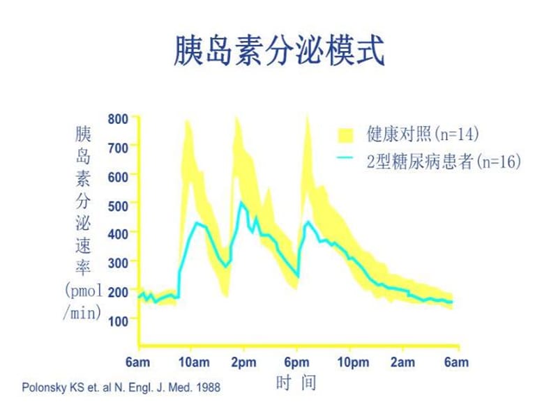 口服降糖药治疗 PPT课件_第5页