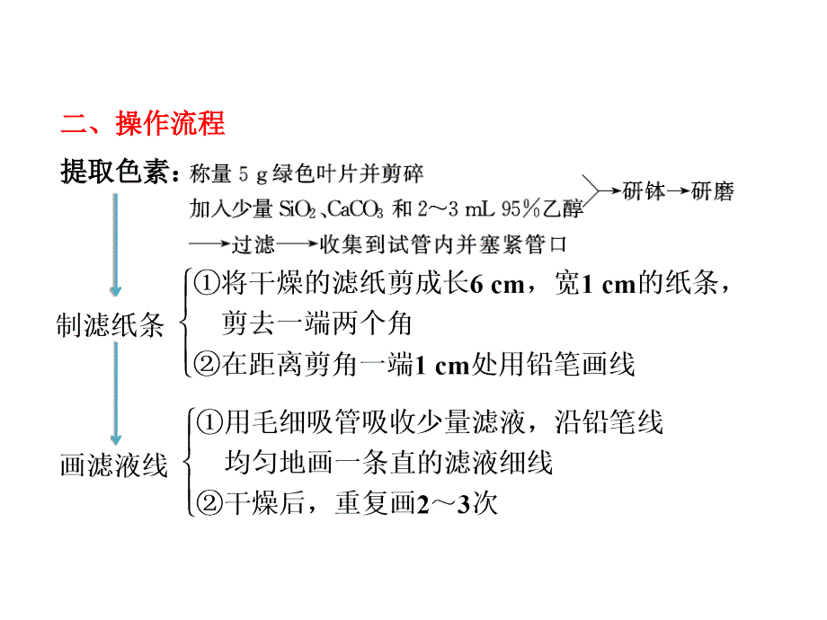 2014高考生物一轮复习重点实验课 绿叶中色素的提取和分离PPT课件_第2页