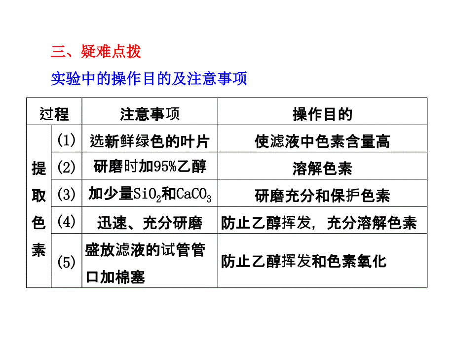 2014高考生物一轮复习重点实验课 绿叶中色素的提取和分离PPT课件_第4页