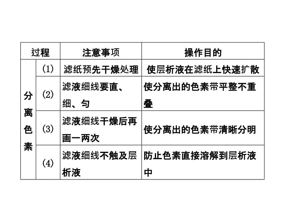 2014高考生物一轮复习重点实验课 绿叶中色素的提取和分离PPT课件_第5页