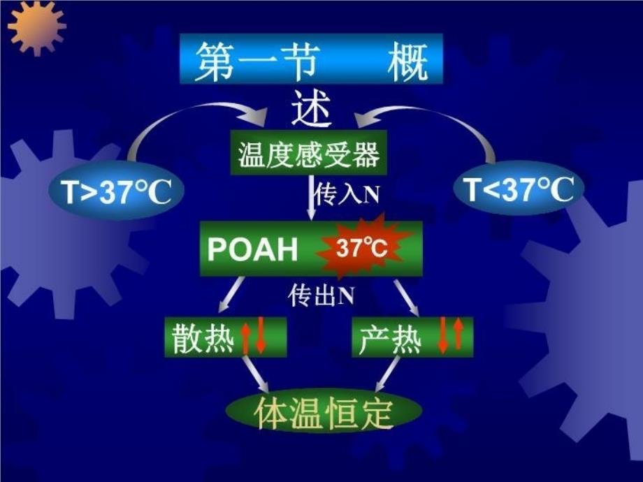 发热49130 PPT课件_第3页