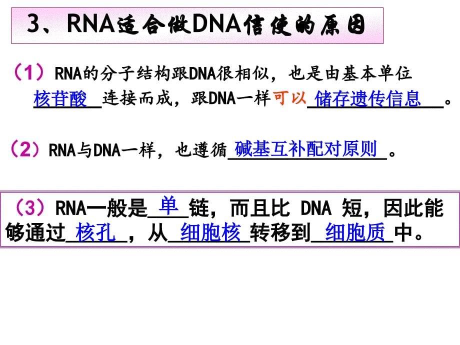 人教高一生物必修二第四章第一节基因指导蛋白质的合成PPT课件_第5页
