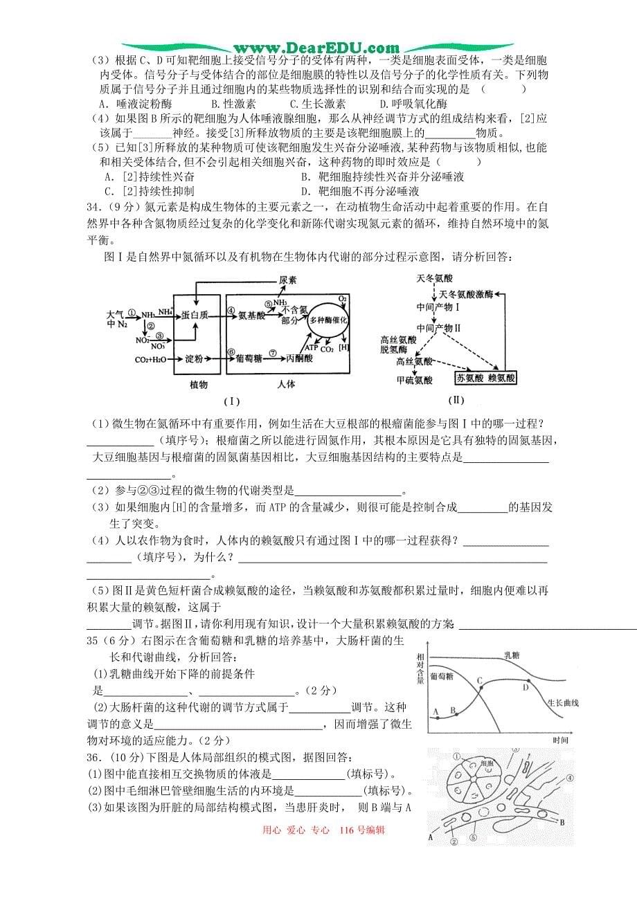 2005-2006年上学期江苏省赣榆县学高三生物第三次阶段考试 人教版_第5页