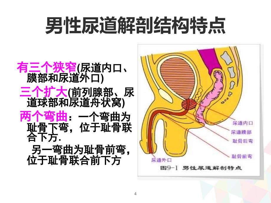 (优质医学)留置导尿管护理查房_第4页