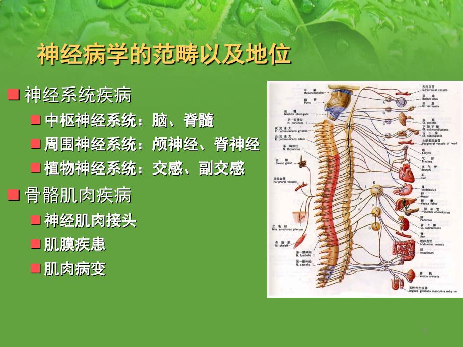 （优质医学）神经内科总论_第3页