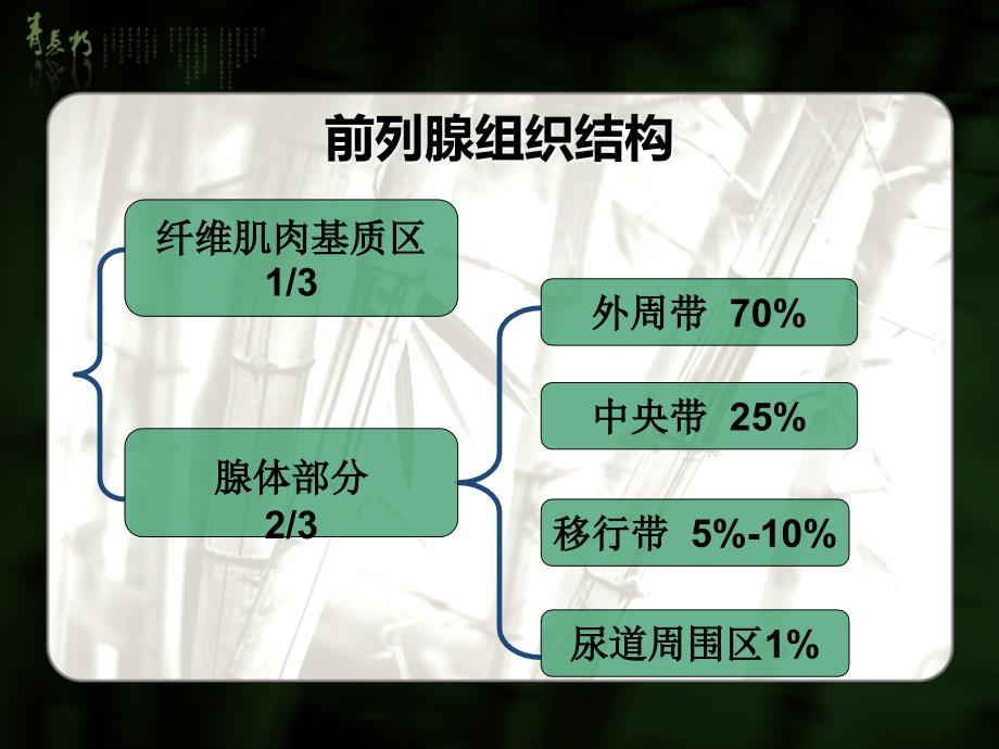 (优质医学)前列腺癌MRI分期及鉴别诊断_第3页