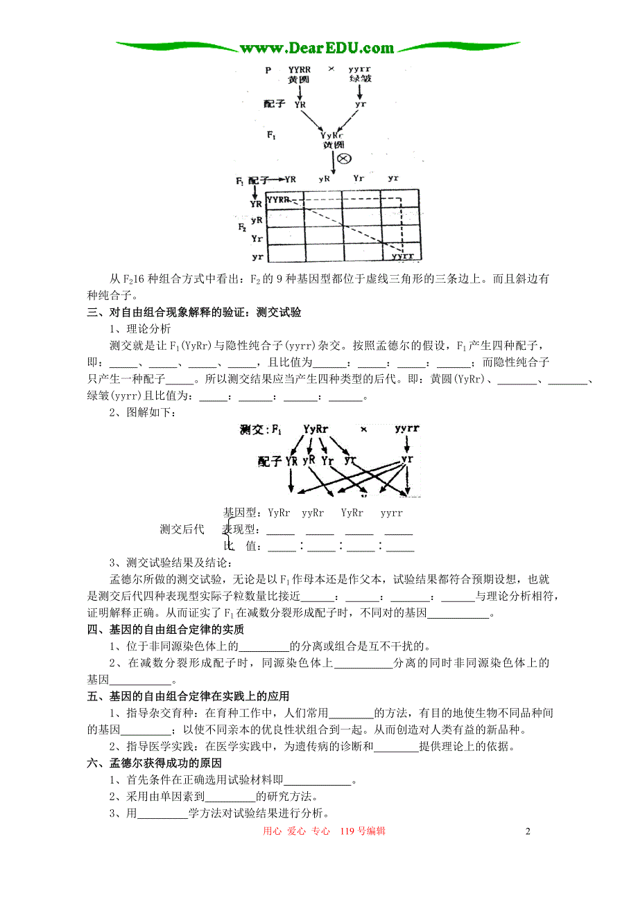 2006年江西省赣县中学高二生物基因的自由组合定律练习 人教版_第2页