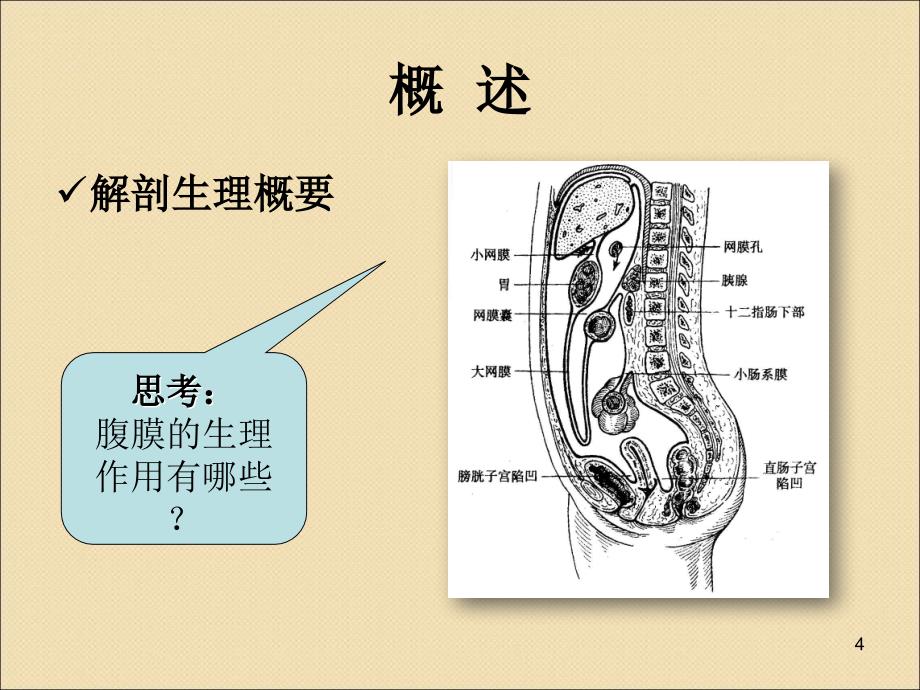 (优质医学)急性腹膜炎术后护理要点_第4页